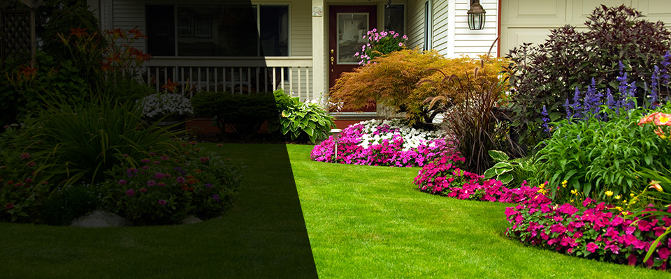Kingsland Landscapers